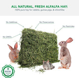 Alfalfa Hay for Rabbits & Small Pets, 5 Lbs