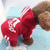 Fashion Cat Clothes for Cats Winter Warm Cotton Cat Clothing for Pets Kitten Outfit Kedi Gatto Hooded Coat Jackets Pets Products