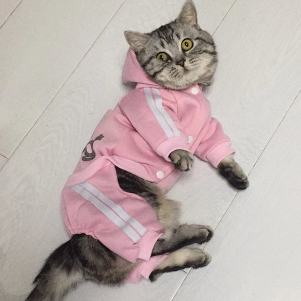 Fashion Cat Clothes for Cats Winter Warm Cotton Cat Clothing for Pets Kitten Outfit Kedi Gatto Hooded Coat Jackets Pets Products